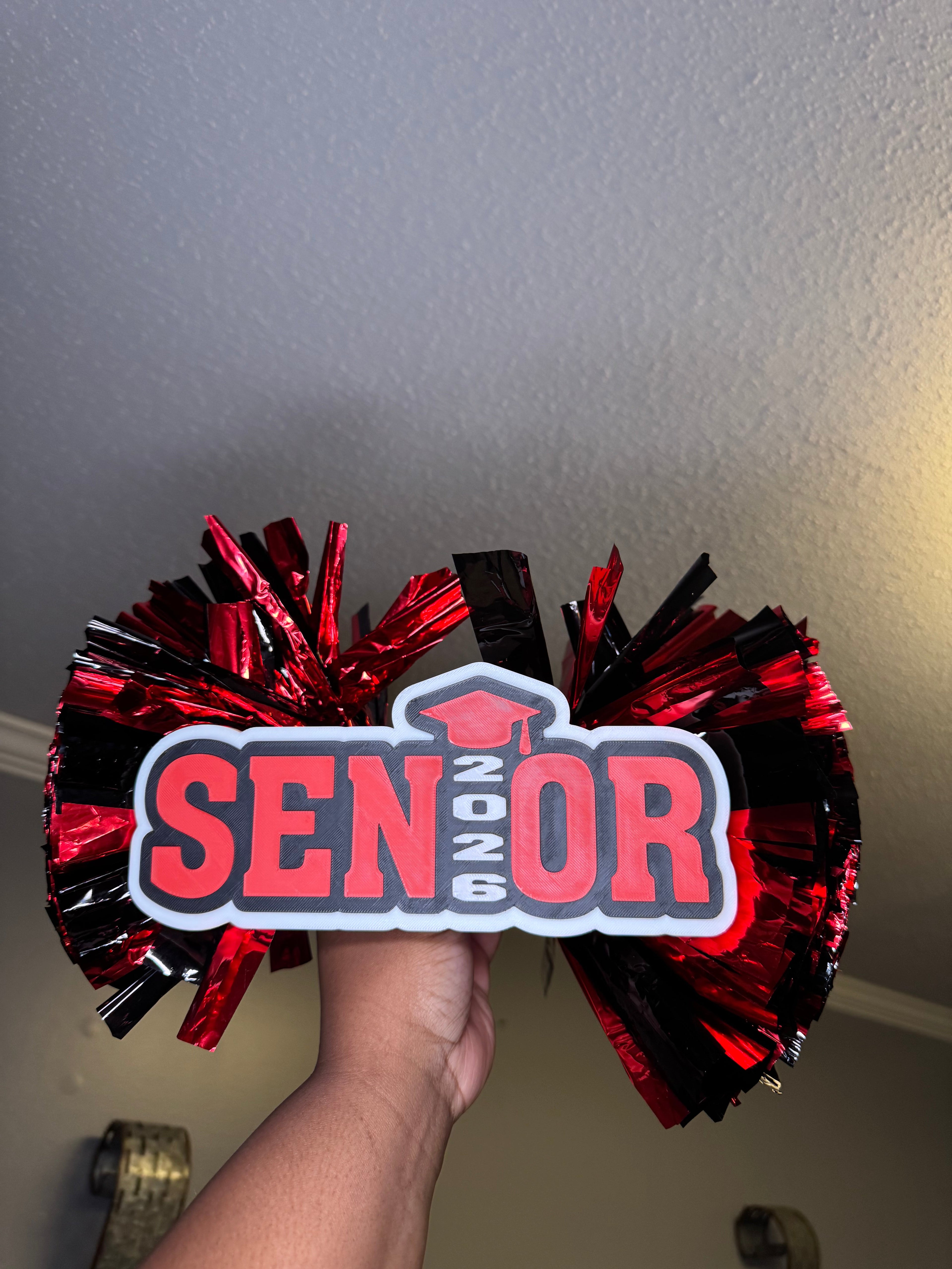 CHEER POM POMS