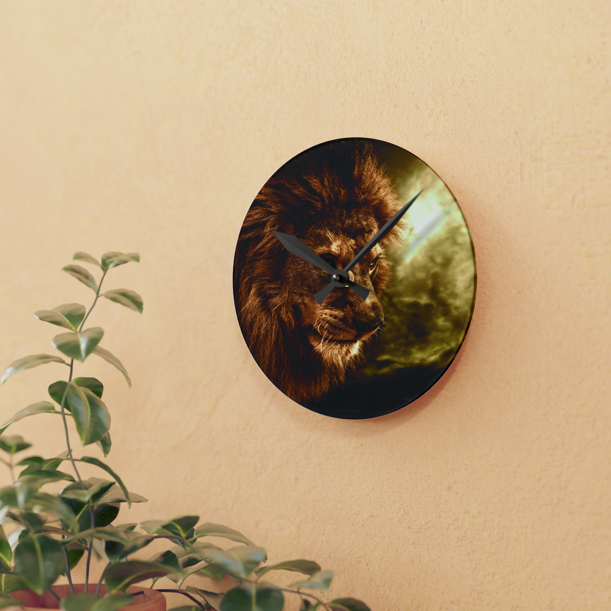 Acrylic Wall Clock