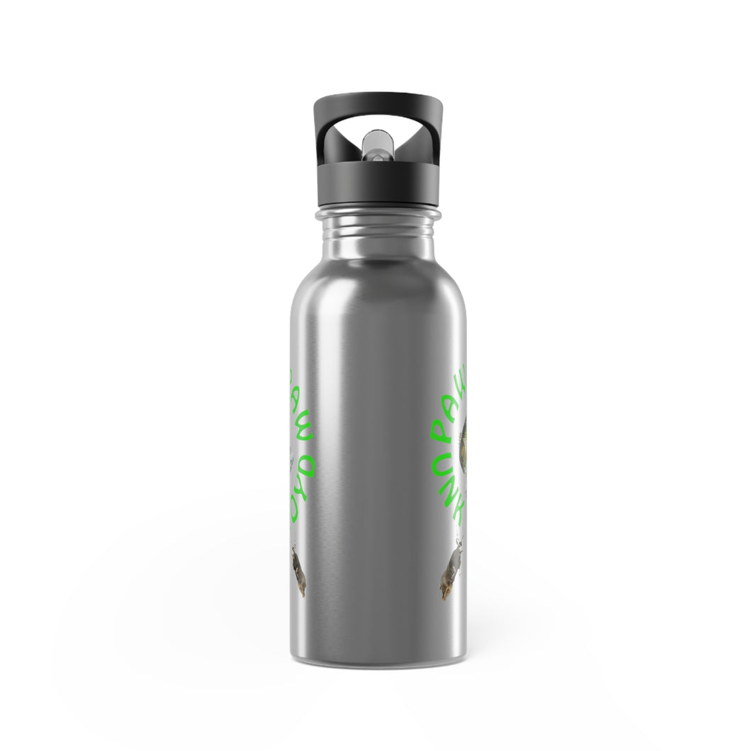 Stainless Steel Water Bottle With Straw, 20oz