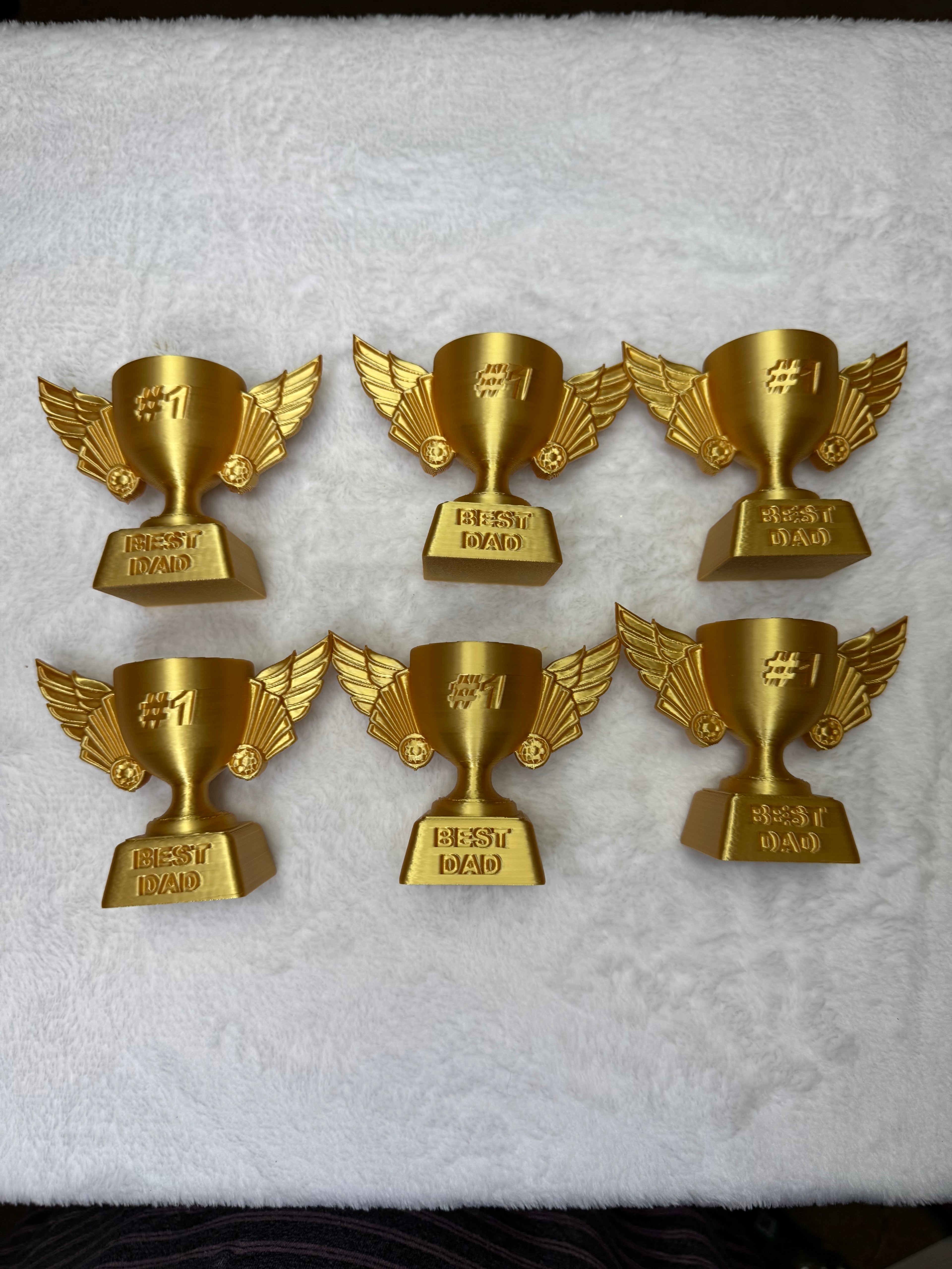 Best Dad Ever Trophy