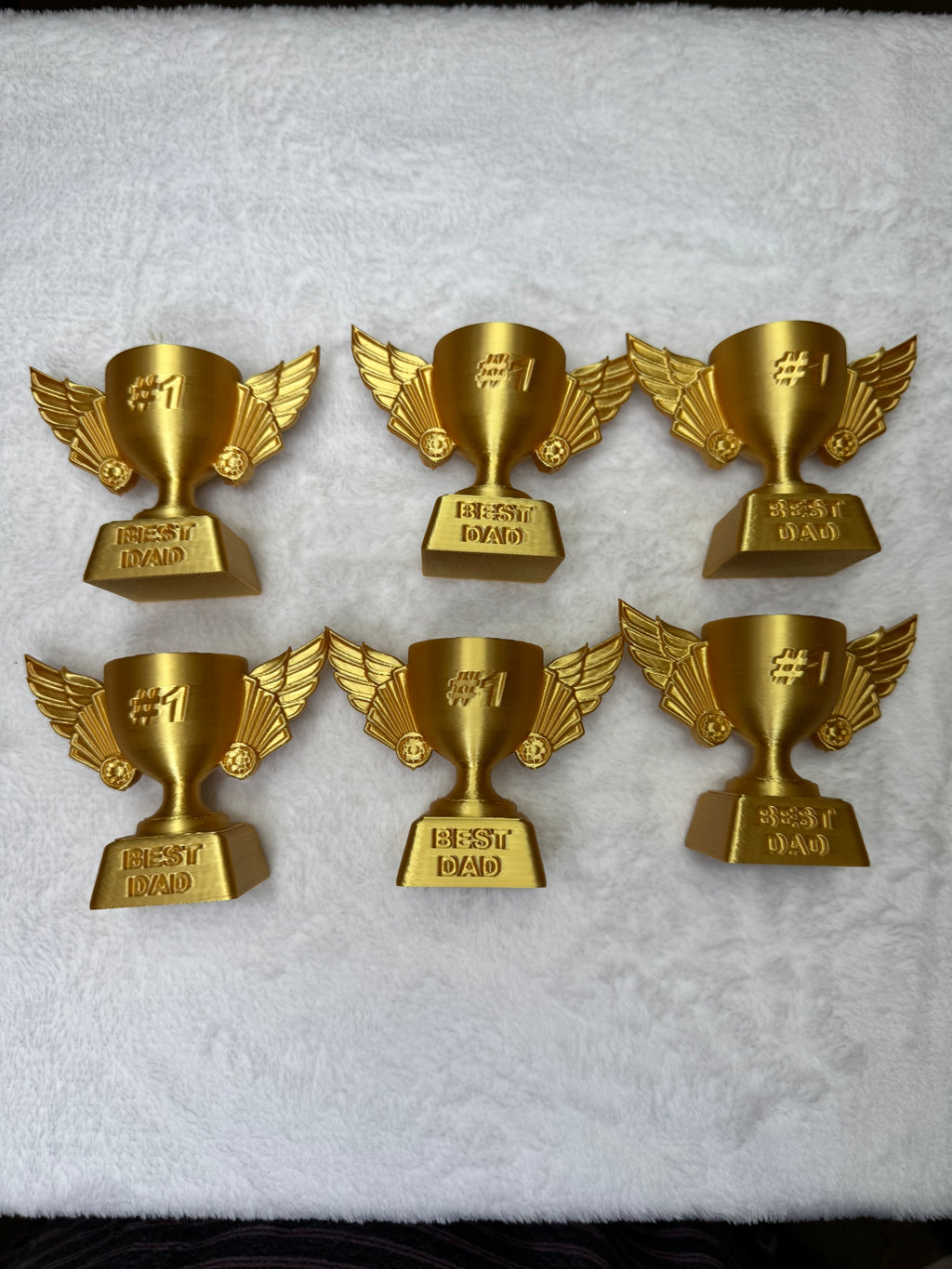 Best Dad Ever Trophy